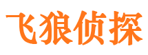 七台河侦探公司